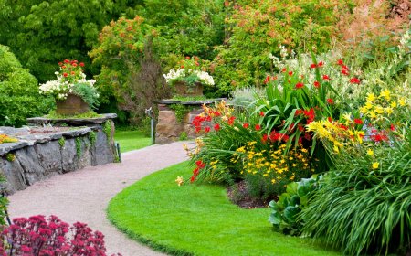 Professional Garden Design Services in Bristol for Stunning Landscapes