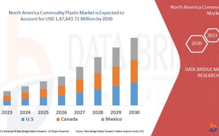 North America Commodity Plastic Market Grows with Expanding Packaging and Automotive Sectors