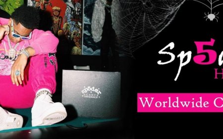 Spider Hoodie – USA’s Ultimate Streetwear Statement