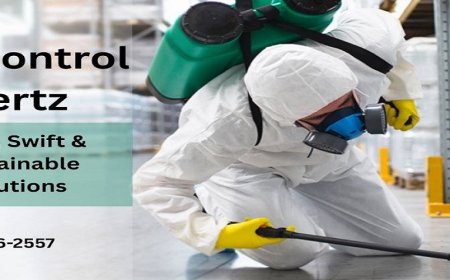 Rodent & Insect Control Experts Serving All of Sacramento, California