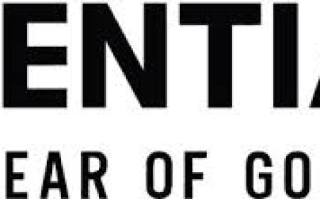 Comfort and Style Combined: The Essential Hoodie You Need