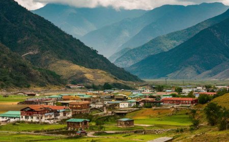 Discover Natural Beauty Through Arunachal Pradesh Sightseeing