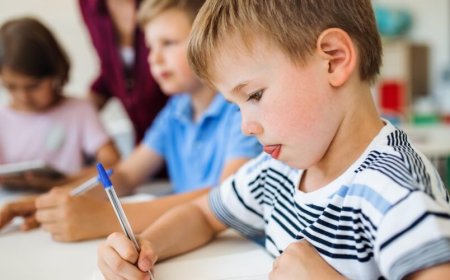 Expert School-Based ABA Therapy & Consultation Services in Danbury, CT