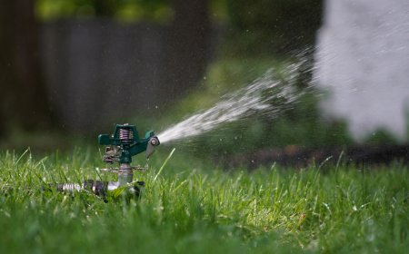 Why One Sprinkler Head Works and the Rest Don’t