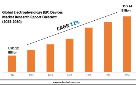 Latest Electrophysiology (EP) Devices Market Trends, Drivers and Opportunities