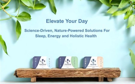 Where to Buy Natural Health Supplements for Better Daily Wellness