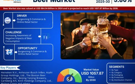 Why Beer Market Is Booming: Key Insights & Stats