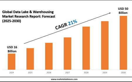 Latest Data Lake & Warehousing Market Trends, Drivers and Opportunities