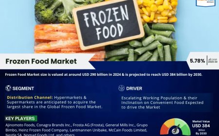 Global Frozen Food Market 2025 – Geographical Analysis, Latest Technology, Investment Opportunities, Future Trends and Outlook 2030