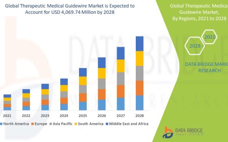 Therapeutic Medical Guidewire Market: Key Trends and Future Growth Forecast to 2028