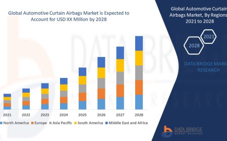 Automotive Curtain Airbags Market: Trends, Analysis, and Competitive Landscape