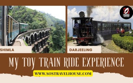 Looking for Darjeeling Tour Packages Under 10000? See This
