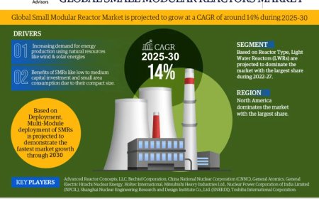 Global Small Modular Reactors Market 2025 – Geographical Analysis, Latest Technology, Investment Opportunities, Future Trends and Outlook 2030