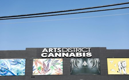 Exploring the Best Cannabis Dispensary in the Arts District