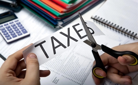 Top 8 Business Tax Planning Services in Dubai