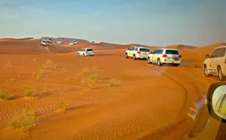 Top 10 Desert Safari Experiences in Dubai