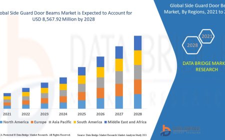 Side Guard Door Beams Market Overview: Key Drivers and Challenges