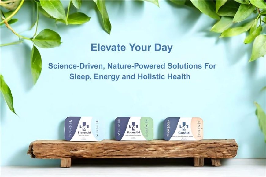 Where to Buy Natural Health Supplements for Better Daily Wellness