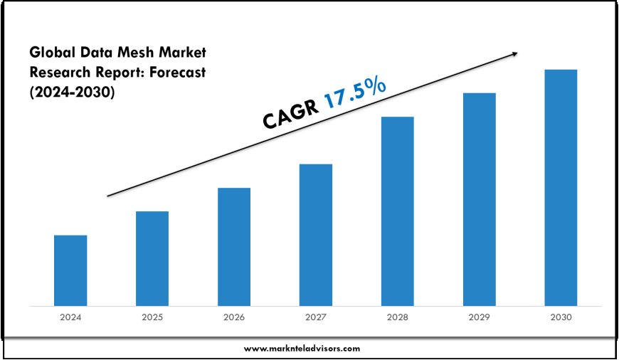 Data Mesh Market Size, Share and Competitive Insight Report 2030